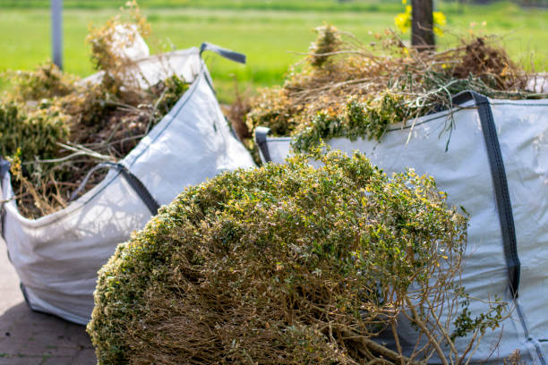 Best Electronics and E-Waste Disposal  in West Point, NE